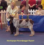 Filename=H-RoundpeggaRupert.jpg
Filesize=29KiB
Dimensions=394x404
Date added=Sep 13, 2009 H-RoundpeggaRupert.jpg