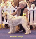 Dateiname=K-Amaya.jpg
Dateigröße=45KB
Abmessungen: 362x396
hinzugefügt am: 13. September 2009 K-Amaya.jpg