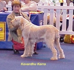 Dateiname=K-Kerra.jpg
Dateigröße=34KB
Abmessungen: 356x338
hinzugefügt am: 13. September 2009 K-Kerra.jpg