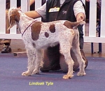 Dateiname=L-Tyla.jpg
Dateigröße=41KB
Abmessungen: 424x368
hinzugefügt am: 13. September 2009 L-Tyla.jpg