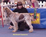 Dateiname=M-Casanova.jpg
Dateigröße=42KB
Abmessungen: 504x404
hinzugefügt am: 13. September 2009 M-Casanova.jpg