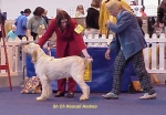 Filename=R-Andreo.jpg
Filesize=54KiB
Dimensions=630x438
Date added=Sep 13, 2009 R-Andreo.jpg