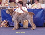 Filename=R-Grigio.jpg
Filesize=46KiB
Dimensions=544x434
Date added=Sep 13, 2009 R-Grigio.jpg