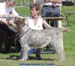Filename=B-Lucianna.jpg
Filesize=76KiB
Dimensions=510x450
Date added=Sep 13, 2009 B-Lucianna.jpg
