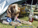 Filename=Best-Of-Breed.jpg
Filesize=106KiB
Dimensions=640x480
Date added=Sep 13, 2009 Best-Of-Breed.jpg