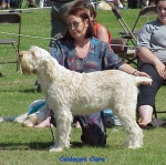 Filename=C-Clara.jpg
Filesize=61KiB
Dimensions=432x430
Date added=Sep 13, 2009 C-Clara.jpg
