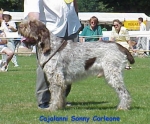 Filename=C-Sonny.jpg
Filesize=38KiB
Dimensions=358x298
Date added=Sep 13, 2009 C-Sonny.jpg