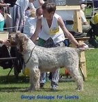 Filename=G-Guiseppe.jpg
Filesize=50KiB
Dimensions=366x380
Date added=Sep 13, 2009 G-Guiseppe.jpg