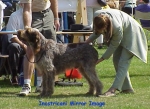 Filename=I-MirrorImage.jpg
Filesize=47KiB
Dimensions=440x320
Date added=Sep 13, 2009 I-MirrorImage.jpg