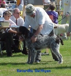 Filename=K-Gwithyen.jpg
Filesize=36KiB
Dimensions=308x326
Date added=Sep 13, 2009 K-Gwithyen.jpg
