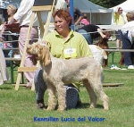 Filename=K-Lucia.jpg
Filesize=50KiB
Dimensions=378x360
Date added=Sep 13, 2009 K-Lucia.jpg