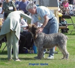 Filename=S-Apache.jpg
Filesize=78KiB
Dimensions=508x458
Date added=Sep 13, 2009 S-Apache.jpg