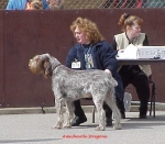 Filename=A-Stregone.jpg
Filesize=48KiB
Dimensions=606x530
Date added=Sep 13, 2009 A-Stregone.jpg