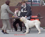 Filename=G-StarsBillBailey.jpg
Filesize=64KiB
Dimensions=720x602
Date added=Sep 13, 2009 G-StarsBillBailey.jpg