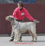 Filename=Giorgio-Giuseppe.jpg
Filesize=41KiB
Dimensions=542x558
Date added=Sep 13, 2009 Giorgio-Giuseppe.jpg
