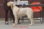 Filename=H-SimplySpecial.jpg
Filesize=30KiB
Dimensions=554x362
Date added=Sep 13, 2009 H-SimplySpecial.jpg
