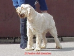 Filename=Il-Padro.jpg
Filesize=20KiB
Dimensions=454x344
Date added=Sep 13, 2009 Il-Padro.jpg