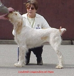 Filename=L-Cassandra.jpg
Filesize=28KiB
Dimensions=464x474
Date added=Sep 13, 2009 L-Cassandra.jpg
