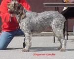 Filename=S-Apache.jpg
Filesize=28KiB
Dimensions=450x358
Date added=Sep 13, 2009 S-Apache.jpg