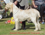 Filename=A-Moschino.jpg
Filesize=48KiB
Dimensions=420x332
Date added=Sep 13, 2009 A-Moschino.jpg