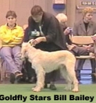 G-StarsBillBailey.jpg