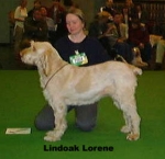 Dateiname=L-Lorene.jpg
Dateigröße=16KB
Abmessungen: 276x267
hinzugefügt am: 13. September 2009 L-Lorene.jpg