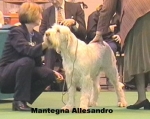 Dateiname=M-Allesandro.jpg
Dateigröße=29KB
Abmessungen: 405x323
hinzugefügt am: 13. September 2009 M-Allesandro.jpg