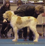 Filename=L TheFullMonti.jpg
Filesize=50KiB
Dimensions=428x431
Date added=Sep 13, 2009 L TheFullMonti.jpg