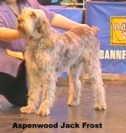 Filename=A-JackFrost.jpg
Filesize=25KiB
Dimensions=332x350
Date added=Sep 13, 2009 A-JackFrost.jpg