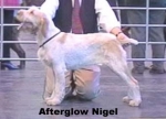 Filename=A-Nigel.jpg
Filesize=16KiB
Dimensions=340x247
Date added=Sep 13, 2009 A-Nigel.jpg