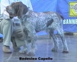 Filename=B-Capello.jpg
Filesize=27KiB
Dimensions=418x340
Date added=Sep 13, 2009 B-Capello.jpg