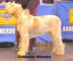 Filename=C-Ritratto.jpg
Filesize=28KiB
Dimensions=400x337
Date added=Sep 13, 2009 C-Ritratto.jpg