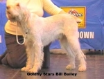 Filename=G-StarsBillBailey.jpg
Filesize=31KiB
Dimensions=510x389
Date added=Sep 13, 2009 G-StarsBillBailey.jpg