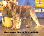 Filename=H-GladysAllfawp.jpg
Filesize=32KiB
Dimensions=384x315
Date added=Sep 13, 2009 H-GladysAllfawp.jpg