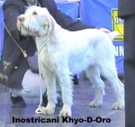 Filename=I-KayoDOro.jpg
Filesize=19KiB
Dimensions=321x305
Date added=Sep 13, 2009 I-KayoDOro.jpg
