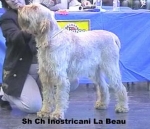 Filename=I-LaBeau.jpg
Filesize=28KiB
Dimensions=389x335
Date added=Sep 13, 2009 I-LaBeau.jpg