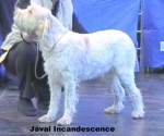 Filename=J-Incandescence.jpg
Filesize=25KiB
Dimensions=425x355
Date added=Sep 13, 2009 J-Incandescence.jpg