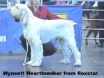 Filename=W-Heartbreaker.jpg
Filesize=21KiB
Dimensions=362x271
Date added=Sep 13, 2009 W-Heartbreaker.jpg