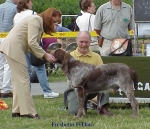 Filename=F-FiDato.jpg
Filesize=62KiB
Dimensions=486x420
Date added=Sep 13, 2009 F-FiDato.jpg