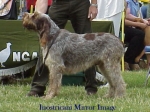 Filename=I-MirrorImage.jpg
Filesize=34KiB
Dimensions=382x286
Date added=Sep 13, 2009 I-MirrorImage.jpg