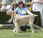 Filename=I-Ozzano.jpg
Filesize=45KiB
Dimensions=392x346
Date added=Sep 13, 2009 I-Ozzano.jpg