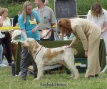 Filename=L-Dexter.jpg
Filesize=71KiB
Dimensions=532x444
Date added=Sep 13, 2009 L-Dexter.jpg