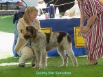 Filename=G-StarSensation.jpg
Filesize=87KiB
Dimensions=640x480
Date added=Sep 13, 2009 G-StarSensation.jpg