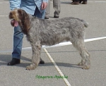 S-Apache.jpg