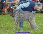 Filename=S-Apache.jpg
Filesize=40KiB
Dimensions=398x318
Date added=Sep 13, 2009 S-Apache.jpg