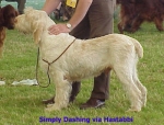 Filename=Simply-Dashing.jpg
Filesize=35KiB
Dimensions=400x306
Date added=Sep 13, 2009 Simply-Dashing.jpg