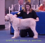 Dateiname=G StarsSymphony.jpg
Dateigröße=48KB
Abmessungen: 441x419
hinzugefügt am: 13. September 2009 G StarsSymphony.jpg