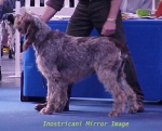 Filename=I MirrorImage.jpg
Filesize=40KiB
Dimensions=435x351
Date added=Sep 13, 2009 I MirrorImage.jpg