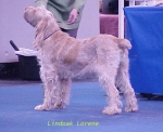 Filename=L Lorene.jpg
Filesize=37KiB
Dimensions=429x349
Date added=Sep 13, 2009 L Lorene.jpg