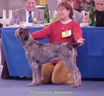 Dateiname=V Danzatore.jpg
Dateigröße=64KB
Abmessungen: 490x452
hinzugefügt am: 13. September 2009 V Danzatore.jpg